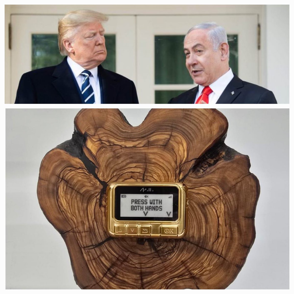 reneeking1901's tweet image. #1pic:  Thot Dtrump gave Netyahoo a plaque. "Press w/..."?  Bogus pic?   
Msg: We know your dirty tricks &amp;amp; continue to waste U$.

#2pic:  Hideous trophy--(((jew)))ler needs a slap.
Msg: We have our dirty tricks.  Stay best buds or find out.