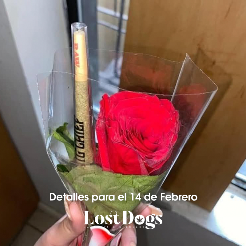 lostdogsoficial's tweet image. Regala lo mejor para este 14 de Febrero #merch #PuertoVallarta #weed #love 
Whatsapp: 322 104 2746 Envíos a todo México.   
 wa.me/3221042746