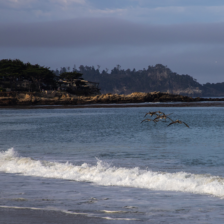 DeAnza_Inn's tweet photo. Beautiful any time of year, Carmel Beach in nearby Carmel-by-the-Sea is one of our favorite beaches in Monterey County. What are some of your favorites?
.
📷: Melissa Papke Photography
.
.
#montereybay #californiabeaches #montereycounty #carmelbeach #CarmelbyTheSea https://t.co/UkGl22HyBe