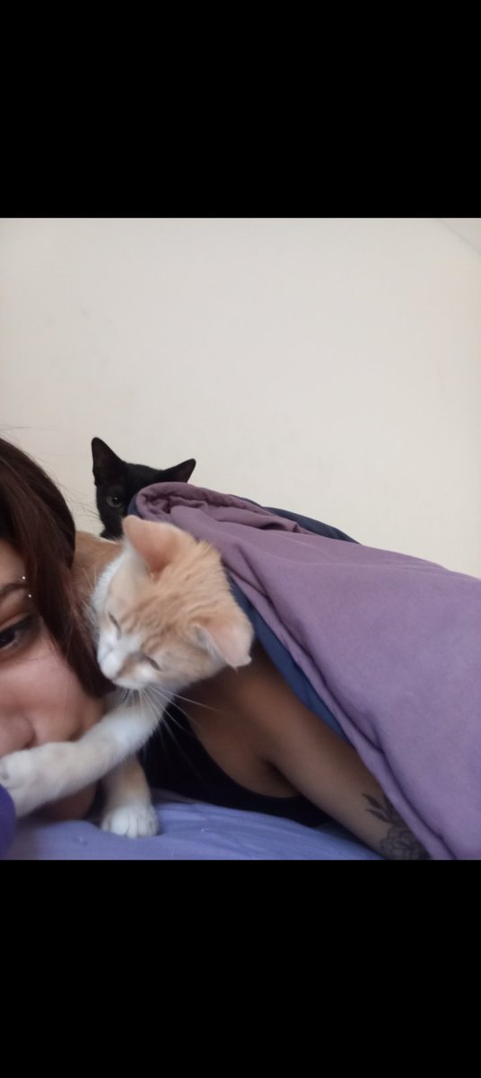 lunitacjs's tweet image. Se fue el gordo más lindo, loco y cariñoso de todo el mundo. Me hiciste la chica más feliz, me acompañaste en mis momentos de soledad, me brindaste y te brinde todo el amor que tengo❤️✨ Descansa mí Titán 🥺