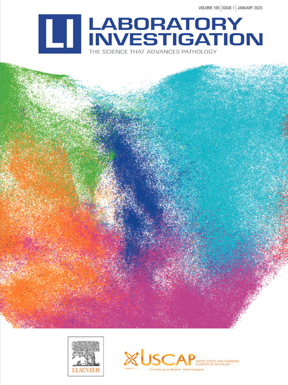 OUR JANUARY COVER:

Featuring Figure 2A from the following manuscript: "Spatial Lipidomics Reveals Myelin Defects and Protumor Macrophage Infiltration in Malignant Peripheral Nerve Sheath Tumor Adjacent Nerves" by Ursem et al.

laboratoryinvestigation.org/article/S0023-…