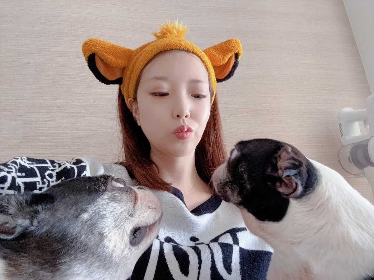 inugasukidaaayo's tweet photo. 動物病院併用のペットホテルorシッターさんに頼むか会議中。
高価な物があるため留守中に他人を家に入れるのなんだか不安。
#ボストンテリア #いぬ #animals #tinyface #鼻ぺちゃ https://t.co/FbHzINtpGR