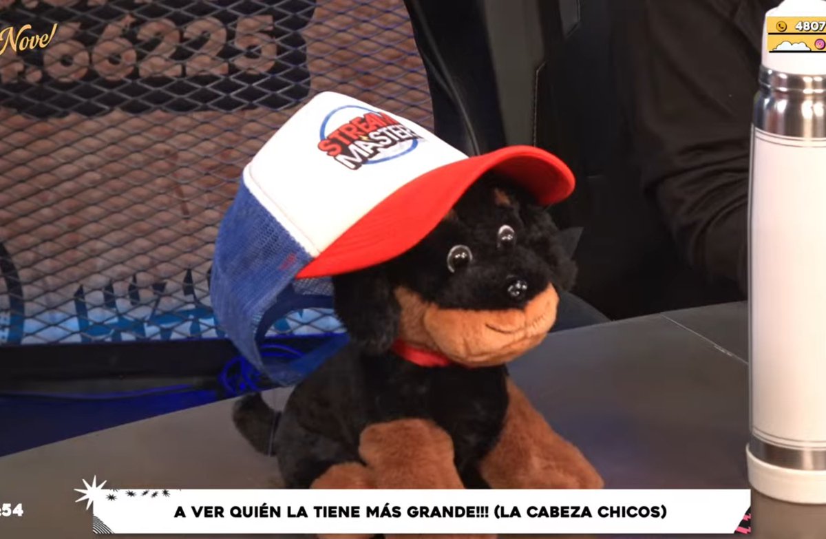 luzutvfan's tweet photo. chumbi🤭🥺 #lanovelaluzu el perrito de #castrini https://t.co/kRkWmoXMnH