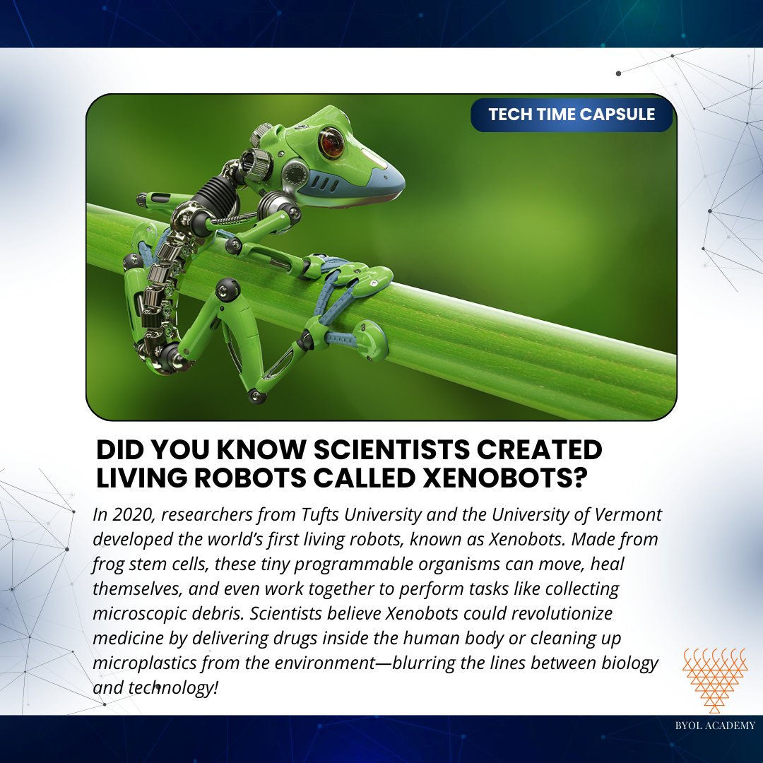 byolacademy's tweet image. 2020: Xenobots – The First Living Robots! 🤖🧬 
A Breakthrough in Biotech!

#Xenobots #LivingRobots #Biotech #AI #FrogStemCells #FutureOfScience #Medicine #MicroplasticsCleanup #BioEngineering #TechInnovation #2020 #ScienceBreakthrough