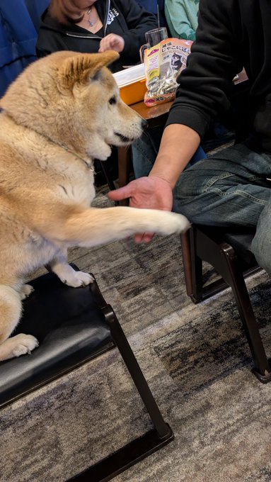 皆さまおはようございます☁
本日もよろしくお願いします♫ 