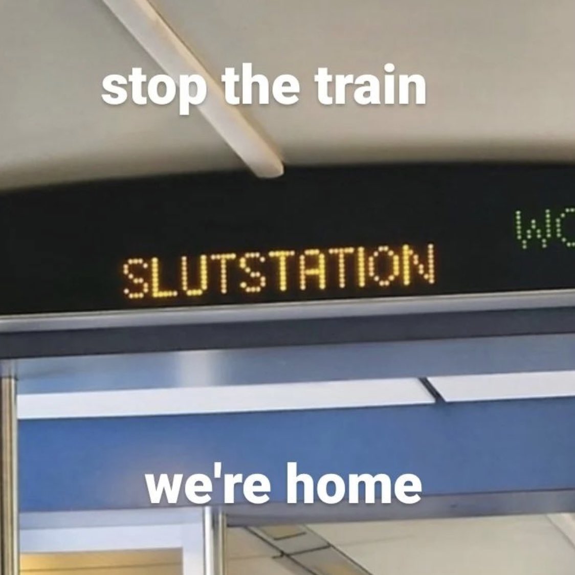 moon 🧚‍♀️ tweet media