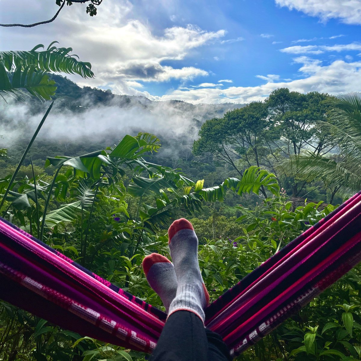 Sam Rad ๐ฎ (@samradofficial) on Twitter photo I wrote <a href="/RadicalNext/">Radical Next</a> across a variety of locations โ spanning the Costa Rican cloud forests, to the Ecuadorian Andes, and the Peruvian and Brazilian Amazon.
It is my hope that Iโve managed to channel the rawness of human experience, the growth that comes with holding space for I wrote <a href="/RadicalNext/">Radical Next</a> across a variety of locations โ spanning the Costa Rican cloud forests, to the Ecuadorian Andes, and the Peruvian and Brazilian Amazon.
It is my hope that Iโve managed to channel the rawness of human experience, the growth that comes with holding space for