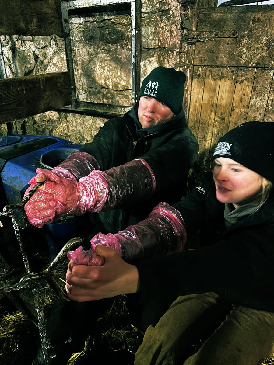 Amanda Hammell tweet media