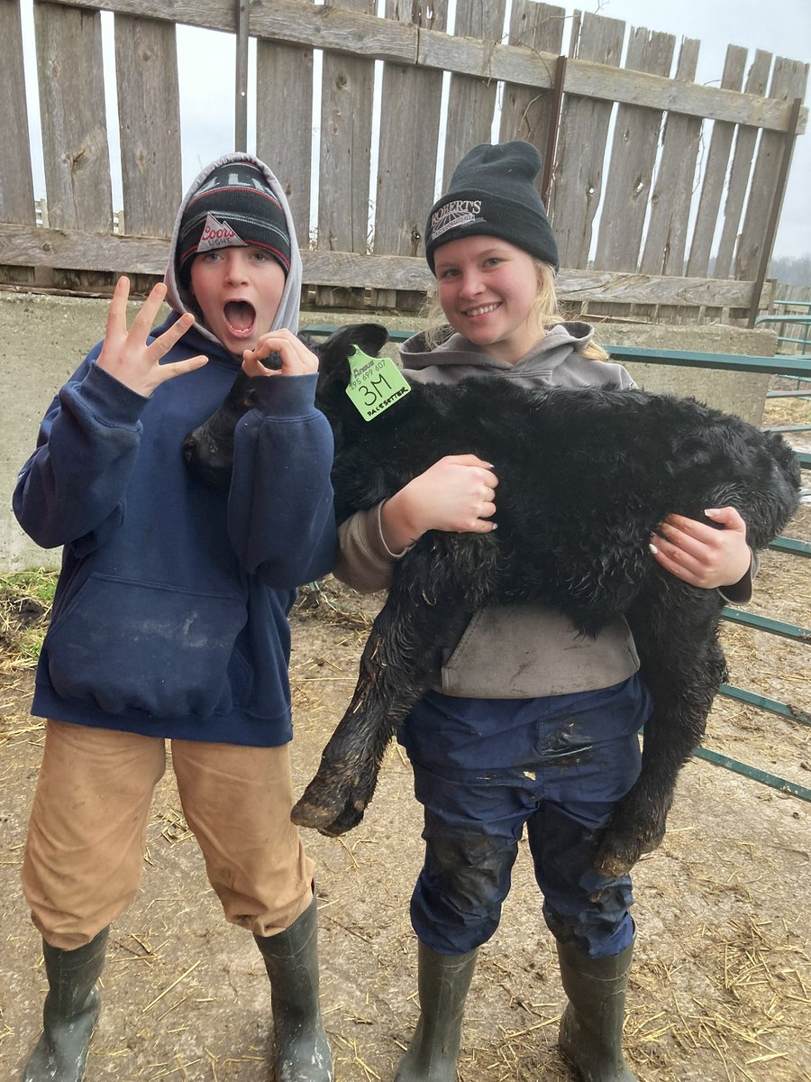 Amanda Hammell tweet media