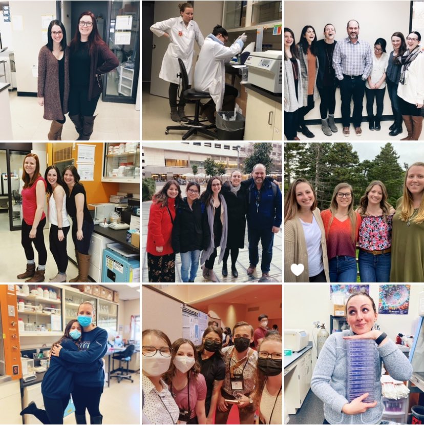 Hannah L. Wallace, PhD • she / her tweet media