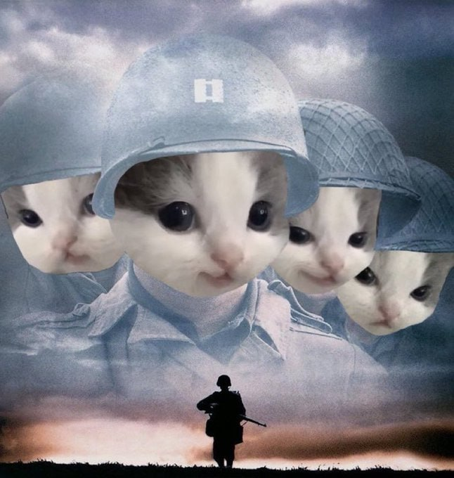hehecat_solana's tweet image. Enlist Today $hehe