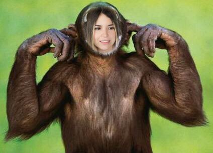 rivers as monkeys (@riversmonkeys) on Twitter photo 