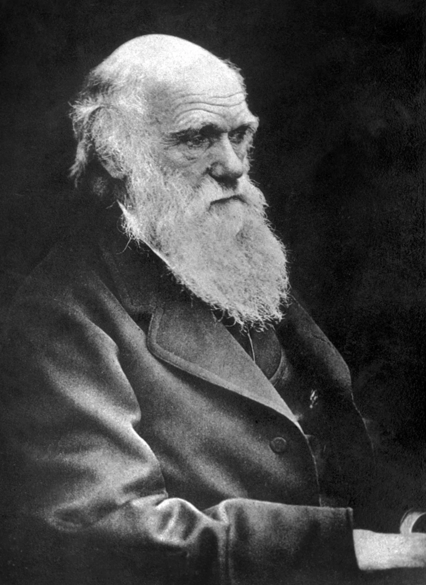 DistrictNavsari's tweet image. #OnThisDay in 1809, Charles Darwin was born! The father of #Evolution &amp;amp; #NaturalSelection, his work in On the Origin of Species changed how we understand life on Earth. 
Celebrate #DarwinDay by embracing #Science, #Biology &amp;amp; #Genetics! 🔬📚 #STEM #History #ScienceMatters