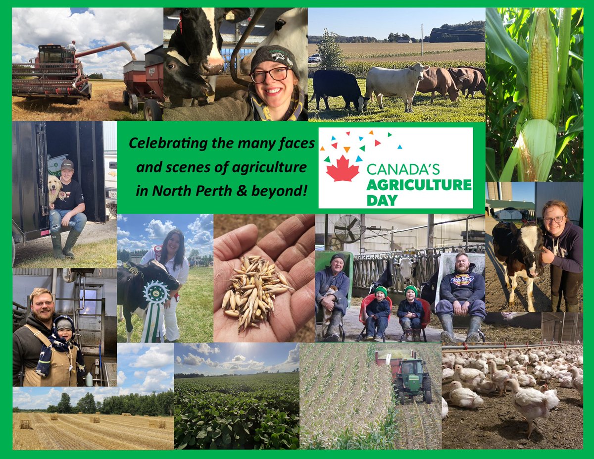 Celebrating the many faces and scenes of agriculture in North Perth &amp; beyond!
Let's celebrate the hardworking people who bring us the food we love and the essential contributions of agriculture to our local and nation's prosperity and well-being!
#CdnAgDay