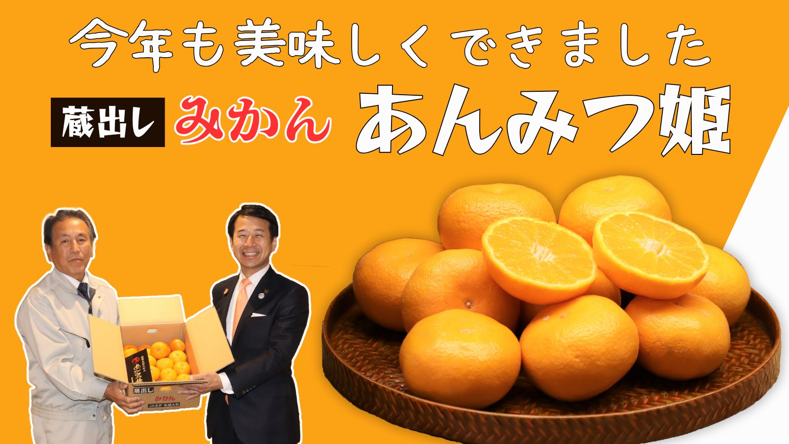 楽天市場】みかん せとか 風のいたずら 訳あり 大きさおまかせ