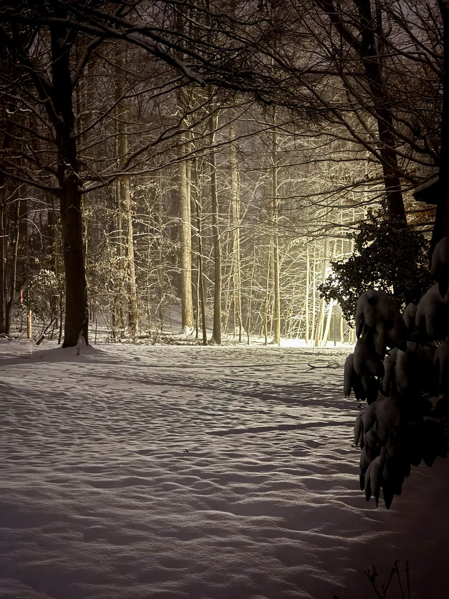 Patrick Baker (@patrick_baker) on Twitter photo 