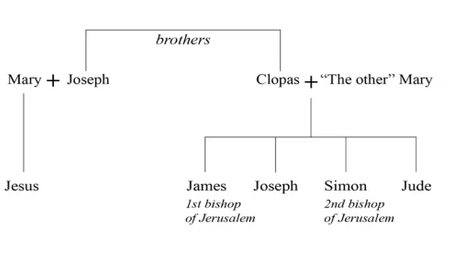 DMStThomas's tweet photo. THE BROTHERS OF JESUS

As is well known, the New Testament contains several references to the “brothers” and “sisters” of Jesus. At first glance, these passages seem to be the strongest argument against Mary’s perpetual virginity.

They are certainly the most popular reason for thinking Mary had other children besides Jesus. Once again, however, we need to examine this evidence in its ancient Jewish context. When we do so, some of the very passages that mention Jesus’ “brothers” actually present important evidence that Mary did not have other children. Let’s take a few moments to examine the data.

The “Brothers” of Jesus = Sons of a Different Mary

The first and most important reason for concluding that the “brothers” of Jesus are not children of Mary is also the most often overlooked. It is this: The Gospels themselves explicitly state that the so-called brothers of Jesus are in fact the children of another woman named Mary. In order to see this clearly, all we need to do is compare the identities of the “brothers” of Jesus in the account of Jesus’ ministry in Nazareth with the accounts of the people present at his crucifixion and burial.

For the sake of convenience, I will focus on the evidence in the Gospel of Mark, paying close attention to the names of Jesus’ “brothers:"

He went away from there and came to his own country…And on the Sabbath he began to teach in the synagogue; and many who heard him were astonished, saying, “…Is not this the carpenter, the son of Mary and brother of James and Joses and Judas and Simon, and are not his sisters here with us?” (Mark 6:1–3)

And Jesus uttered a loud cry, and breathed his last…There were also women looking on from afar, among whom were Mary Magdalene, and Mary the mother of James the younger and of Joses, and Salome, who, when he was in Galilee, followed him, and ministered to him. (Mark 15:37, 40–41)

On the one hand, the Gospel of Mark indisputably identifies “James” and “Joses” as two of the “brothers” (Greek adelphoi) of Jesus (Mark 6:3). As any Greek dictionary will tell you, the most common meaning of the word “brother” is the same as in English: “a male from the same womb.”

On the other hand—and this is crucial—the Gospel of Mark also provides solid evidence that the same two men, “James” and “Joses,” are the sons of a different woman named Mary. This other Mary is mentioned three times in the account of Jesus’ crucifixion, burial, and resurrection.

At the crucifixion, she is called “Mary the mother of James the younger and Joses” (Mark 15:40). At Jesus’ burial, she is called “Mary the mother of Joses” (Mark 15:47). On the morning of the resurrection, she is called “Mary the mother of James” (Mark 16:1). Who is this woman? Obviously, Mark would never refer to the mother of Jesus as “the mother of James and Joses,” or “the mother of James,” or “the mother of Joses,” especially when he has already referred to Mary as Jesus’ “mother” twice in his Gospel (Mark 3:31, 32).

Although scholars come up with some rather desperate attempts to avoid the obvious, the only plausible explanation is that the mother of James and Joses is a different Mary, and therefore, James and Joses are not the sons of the virgin Mary.

In support of this conclusion, it is important to emphasize that the same thing is true of James and Joses in the Gospel of Matthew (although Matthew uses the proper Hebrew form “Joseph” rather than “Joses”).

In fact, Matthew even refers to Mary the mother of James and Joseph as “the other Mary”! There were also many women there, looking on from afar, who had followed Jesus from Galilee, ministering to him; among whom were Mary Magdalene, and Mary the mother of James and Joseph, and the mother of the sons of Zebedee…And Joseph [of Arimathea] took the body, and wrapped it in a clean linen shroud, and laid it in his own new tomb, which he had hewn in the rock; and he rolled a great stone to the door of the tomb, and departed. Mary Magdalene and the other Mary were there, sitting opposite the sepulcher. (Matthew 27:55–56, 59–61; cf. 13:55)

It is not believable that Matthew would refer to the mother of Jesus as “the other Mary.” Because of this, the Protestant scholars W. D. Davies and Dale Allison admit that this evidence suggests that “the brothers of Jesus” who are named earlier in the Gospel (Matthew 13:55) “were not the sons of Jesus’ mother but of another Mary.” 29 I agree.

But I would add that the brothers of Jesus also cannot be the sons of Joseph from a previous marriage, as some people suggest.30 The reason is simple. For Joseph to be a widower, his wife has to have died. But Mary the mother of James and Joseph is obviously still alive at the time of the resurrection! In fact, when Luke refers to her simply as “Mary the mother of James” (Luke 24:10), a strong case can be made that he must be referring to the famous leader of the church in Jerusalem, also known as “James the Lord’s brother” (Galatians 1:19).

The reason is simple. In the words of Richard Bauckham: “Normally in the early church only James the Lord’s brother could be called James without risk of ambiguity” (see Acts 12:17; 15:13; 21:18; 1 Corinthians 15:7; Jude 1).

This leads us to the important question- If James and Joseph are the children of another Mary, then why are they called Jesus’ “brothers”? The answer is quite simple: in an ancient Jewish context, the Greek for word “brothers” (adelphoi) could be used as a synonym for close relatives, such as cousins. Many examples of this usage could be given.

For now, consider three:

But Jacob became angry, and quarreled with Laban [his uncle]; Jacob said to Laban, “…What have you found of all the vessels of your house? Set it here before my brothers and your brothers, that they may decide between us two.” (Genesis 31:36–37 LXX)

The sons of Mahli [were] Eleazar and Kish. And Eleazar died, but he had no sons, only daughters. And the sons of Kish, their brothers, married them. (1 Chronicles 23:21–22 LXX)

On the same day the sons and brothers of king Izates…entreated Caesar to grant them a pledge of protection. For the present he kept them all in custody; the king’s sons and relatives he subsequently brought up in chains to Rome. (Josephus, War, 6.356–57)

Notice here that it is the context that gives us the clue to when the word “brothers” means “relatives” or “cousins.” In context, Jacob is clearly using “brothers” (Greek adelphoi) to refer to his cousins, the sons of his uncle Laban (Genesis 31:37 LXX). Likewise, in the second passage, the “brothers” (Greek adelphoi) of the daughters of Eleazar are explicitly identified as first cousins, the sons of the girls’ uncle Kish. Last, but certainly not least, Josephus proves that a first-century Jew could use the words “brothers” (Greek adelphoi) and “relatives” (Greek syngeneis) as synonyms in the same Greek text.

Likewise, when it comes to the “brothers” of Jesus in the Gospels, we have to determine the meaning of the word in context. If all we had were the reference to Jesus’ brothers during his ministry in Nazareth, it would be reasonable to assume they were his blood “brothers.” However, if later in the same Gospel two of these brothers, “James and Joses,” are explicitly identified as the children of another woman named Mary, then the obvious explanation is that the word “brothers” is being used to refer to Jesus’ “relatives.”36 If there is any doubt about this, it’s important to point out that Jesus himself actually uses the word for “cousins” or “relatives” to describe his so-called brothers and sisters. Reread the evidence from Mark, this time paying attention to Jesus’ final statement:

“Is not this the carpenter, the son of Mary and brother of James and Joses and Judas and Simon, and are not his sisters here with us?” And they took offense at him. And Jesus said to them, “A prophet is not without honor, except in his own country, and among his own cousins (Greek syngeneusin), and in his own house.” (Mark 6:3–4)

The word I have translated here as “cousin” (Greek syngeneus) is from the same Greek root as the angel Gabriel’s reference to Elizabeth as Mary’s “cousin” (Greek syngenis) (see Luke 1:36 KJV, Douay-Rheims). What possible reason can be given for Jesus referring to his “brothers” and “sisters” as his “relatives” or “cousins”? Maybe because, according to the Gospel of Mark, they are his cousins.

Now we could just stop here. If all we had were the evidence from the Gospels of Matthew and Mark, it would be enough to conclude that the so-called brothers of Jesus are in fact his close relatives. They are the children of another woman named Mary from Galilee. But this is not the only evidence we possess.

The Other Mary = Mary the Wife of Clopas

When it comes to the identity of the brothers of Jesus, the Gospel of John also provides an important clue to the identity of “the other Mary” who was present at the crucifixion:

But standing by the cross of Jesus were his mother, and his mother’s sister, Mary the wife of Clopas, and Mary Magdalene. When Jesus saw his mother, and the disciple whom he loved standing near, he said to his mother, “Woman, behold, your son!” Then he said to the disciple, “Behold, your mother!” And from that hour the disciple took her to his own home. (John 19:25–27)

This account of Jesus’ death provides us three more significant insights into the relationship between Jesus, Mary, and his “brothers.” First, notice that John identifies the second woman at the cross as “his mother’s sister, Mary” (John 19:25).

Although it’s easy to miss the point, this verse provides important support for the word “sister” (Greek adelph ē) being used to refer to someone other than a blood sister. It seems extremely unlikely that Mary’s parents would have given both her and her sister the name Mary. However, the text makes perfect sense if John is using the word “sister” to refer to a close relative of Jesus’ mother.

Second, and even more important, when John refers to this woman as “Mary the wife of Clopas” (John 19:25), he gives us an important clue to the identity of “the other Mary” referred to by Matthew and Mark. If John is referring to the same Mary that Matthew and Mark say was present at the crucifixion and burial of Jesus—Mary the mother of James and Joses—then we have further evidence that James and Joses are not the sons of Jesus’ mother. Nor are they the sons of Joseph by a previous marriage. Instead, they would be the sons of another man—a man named Clopas.

Third and finally, but by no means least important, in John’s account, Jesus gives his mother, Mary, to the Beloved Disciple to have as “his own” mother (John 19:26–27). I cannot stress the point enough: If Mary would have had any other children at the time of the crucifixion, it would have been unheard of for Jesus to give his mother to one of his disciples. In an ancient Jewish context, to fail to care for one’s aging parents was a grave sin—one that Jesus himself describes as a capital offense (see Mark 7:9–13).42 Thus, the most plausible explanation for why Jesus takes such pains in the midst of dying to make sure his mother is cared for by the Beloved Disciple is that Mary has no other children. He is her only son.

Once again, we could just stop here. If we only had the evidence of the New Testament we’ve just surveyed, it would be enough to confidently conclude that the so-called brothers of Jesus are in fact his close relatives, the children of Mary and Clopas, relatives of Jesus’ family. However, the New Testament is not the only relevant historical evidence we possess. We also have evidence for the identity of Jesus’ brothers from ancient church history—evidence that is often mysteriously ignored.

The “Brothers” of Jesus = The First Bishops of Jerusalem

According to the ancient Christian historian Hegesippus—who was apparently the first person to write a “history” of the Church—two of the so-called brothers of Jesus (James and Simon) also happened to be the first two bishops of Jerusalem.43 Furthermore, they were widely known to be Jesus’ “cousins!” Consider the following testimony from Hegesippus, which is quoted by Eusebius in his fourth-century history of the Church:

The same writer [Hegesippus] also [writes]…as follows: “After James the Just had suffered martyrdom for the same reason as the Lord, Simon, his cousin, the son of Clopas, was appointed bishop, whom they all proposed because he was another cousin (Greek anepsion) of the Lord. (Hegesippus [2nd century A.D.], quoted in Eusebius, Church History, 4.22)

After the martyrdom of James and the conquest of Jerusalem which immediately followed, it is said that those of the apostles and disciples of the Lord that were still living came together from all directions with those that were related to the Lord according to the flesh (for the majority of them also were still alive) to take counsel as to who was worthy to succeed James. They all with one consent pronounced Simon, the son of Clopas, of whom the Gospel also makes mention; to be worthy of the episcopal throne of that parish. He was a cousin (Greek anepsion), as they say, of the Saviour. For Hegesippus records that Clopas was a brother of Joseph (Greek adelphon tou I ō s ē ph). (Hegesippus [2nd century A.D.], quoted in Eusebius, Church History 3.11.1–2)

Amazingly, the testimony of Hegesippus that the so-called brothers of Jesus were in fact his “cousins” (Greek anepsioi) is frequently just ignored by scholars who assert that Mary had other children.46 But in the face of such historical evidence, this is unacceptable. James and Simon, two of the so-called brothers of Jesus, were not obscure figures in the early Church. In fact, they were the first two bishops of Jerusalem and some of the earliest martyrs. More important, they were known to be “cousins” of Jesus. Notice here that Hegesippus’ identification of James and Simon as Jesus'cousins is stated simply as a matter of historical fact. There is no evidence that he is attempting to defend Mary’s perpetual virginity. To the contrary, Hegesippus is simply reporting the history of the bishops in Jerusalem.

Now, if Hegesippus is right, then the earliest historical evidence we possess jibes perfectly with the New Testament evidence we saw that the so-called brothers of Jesus—James, Joseph, Simon, and Jude—were in fact the children of another woman named Mary (Mark 6:1–3 15:37, 40–41; cf. Luke 24:10). It also makes perfect sense if this “other Mary” is the same woman who is called the “wife of Clopas” (John 19:25).

This, I would suggest, is the simplest and most historically plausible solution to the mystery of the “brothers” of Jesus. Again, the best explanation for the ancient Christian claim that the “brothers” of Jesus were actually his cousins.

From: Brant Pitre's "Jesus and the Jewish Roots of Mary: Unveiling the Mother of the Messiah