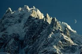 Adam Luckett tweet media