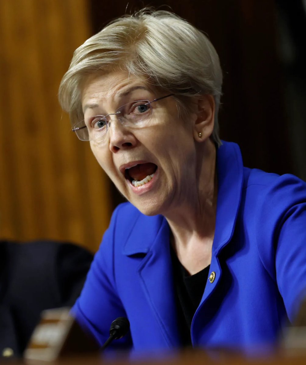 Do you support D.O.G.E. investigating Elizabeth Warren’s Multi MILLION Dollar Net Worth ?
