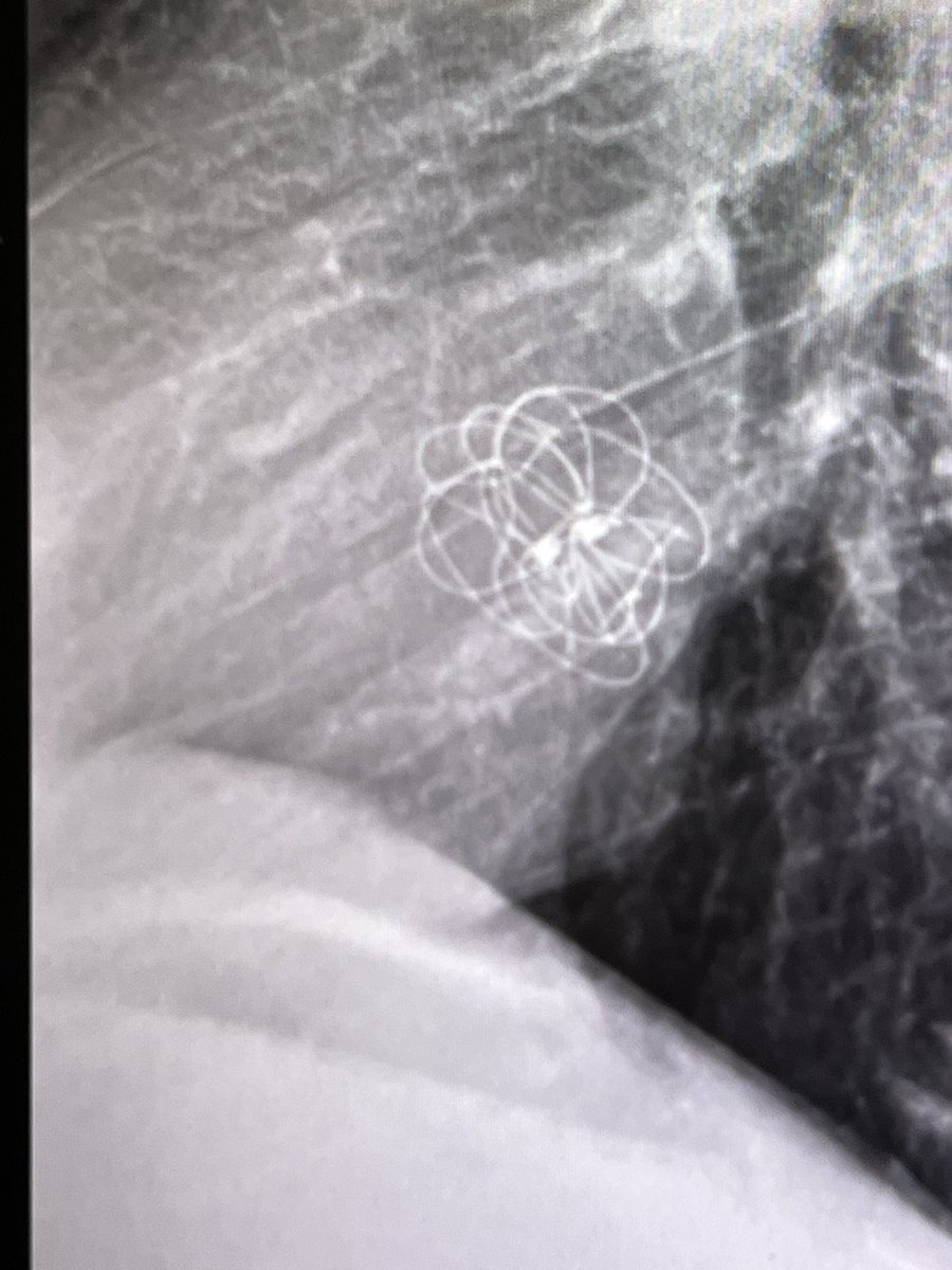 aly angel 🔮 tweet media