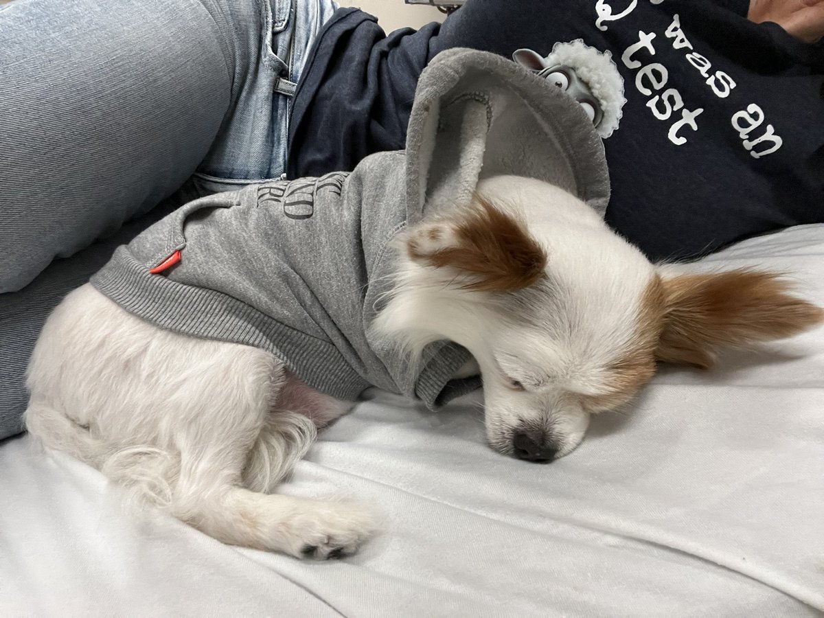 aly angel 🔮 tweet media