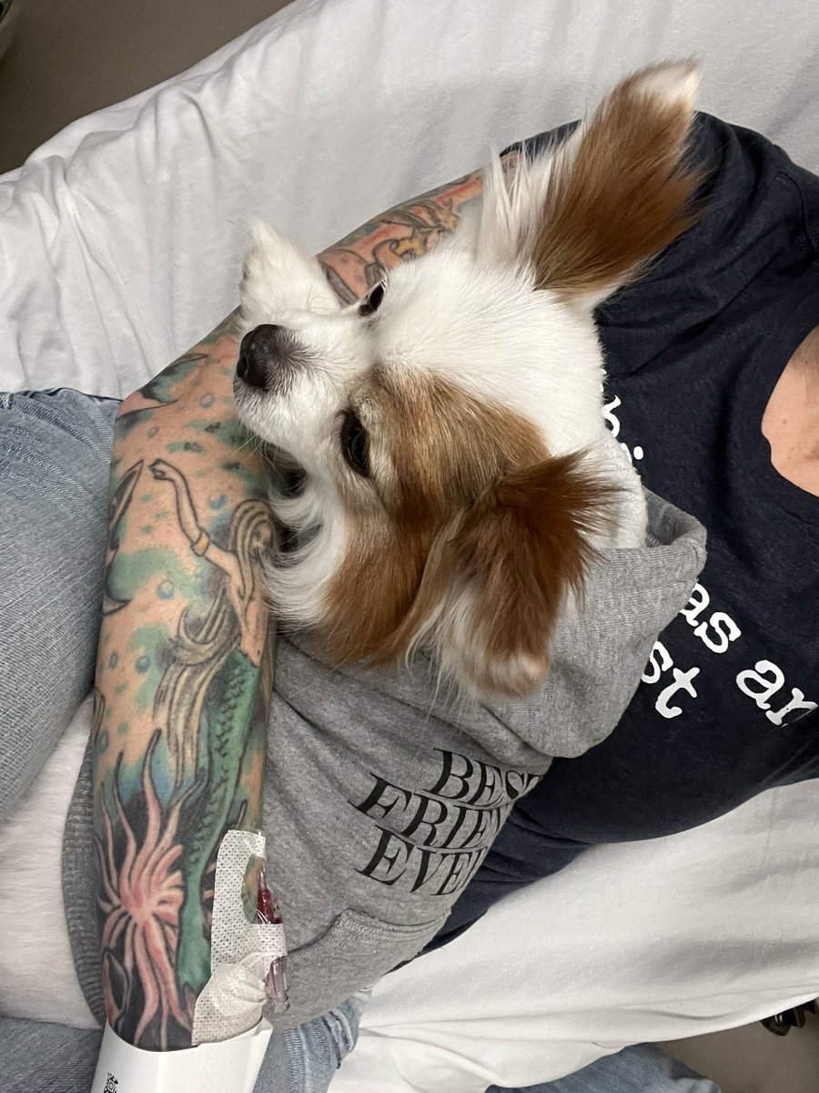 aly angel 🔮 tweet media