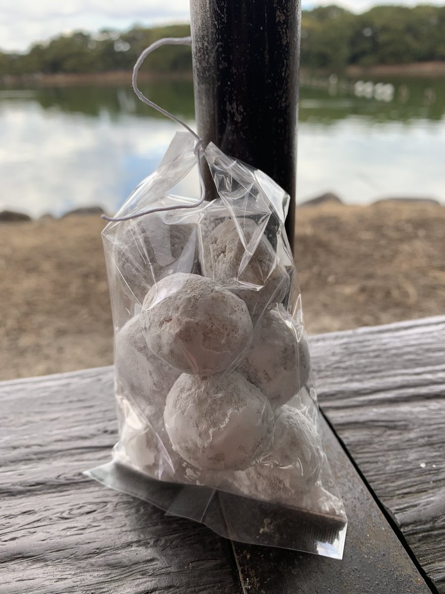 ワクワクで始まった1日だったけどどこでも何も戦利品見つからずランチしに行っただけだった！
こんな日もある…のねー
#風の市場
#護国神社蚤の市
#夏井ケ浜
#芦屋