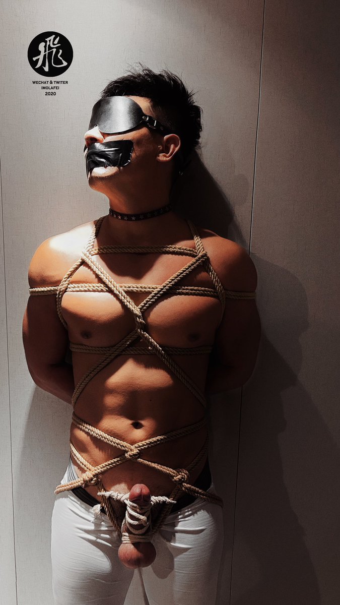 飛 (@imolafei) on Twitter photo 