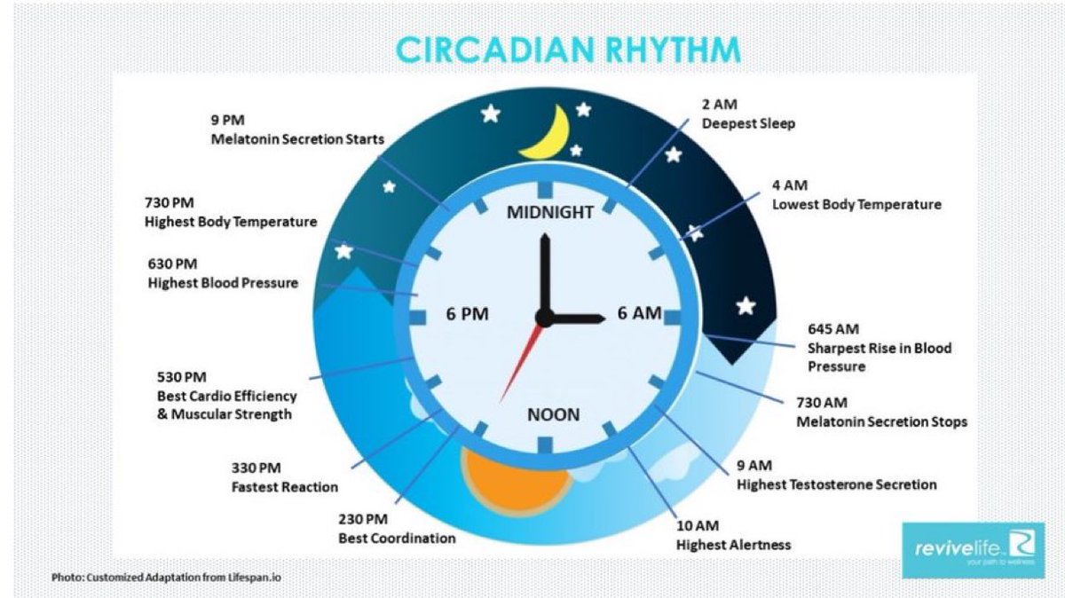 A well-functioning circadian rhythm is correlated with a longer lifespan.

We may be able to influence longevity and prevent diseases of aging by enhancing circadian func.

Get into a schedule. Be consistent with wake, eating, studying, reading training, and sleep times. 

Note