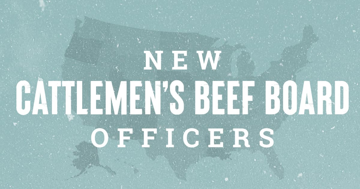 Congratulations to the newly elected Cattlemen's Beef Board officers! These volunteer leaders, chosen by fellow board members, will guide the national Beef Checkoff in 2025. Meet the team here: bit.ly/3EA7WVG #BeefCheckoff