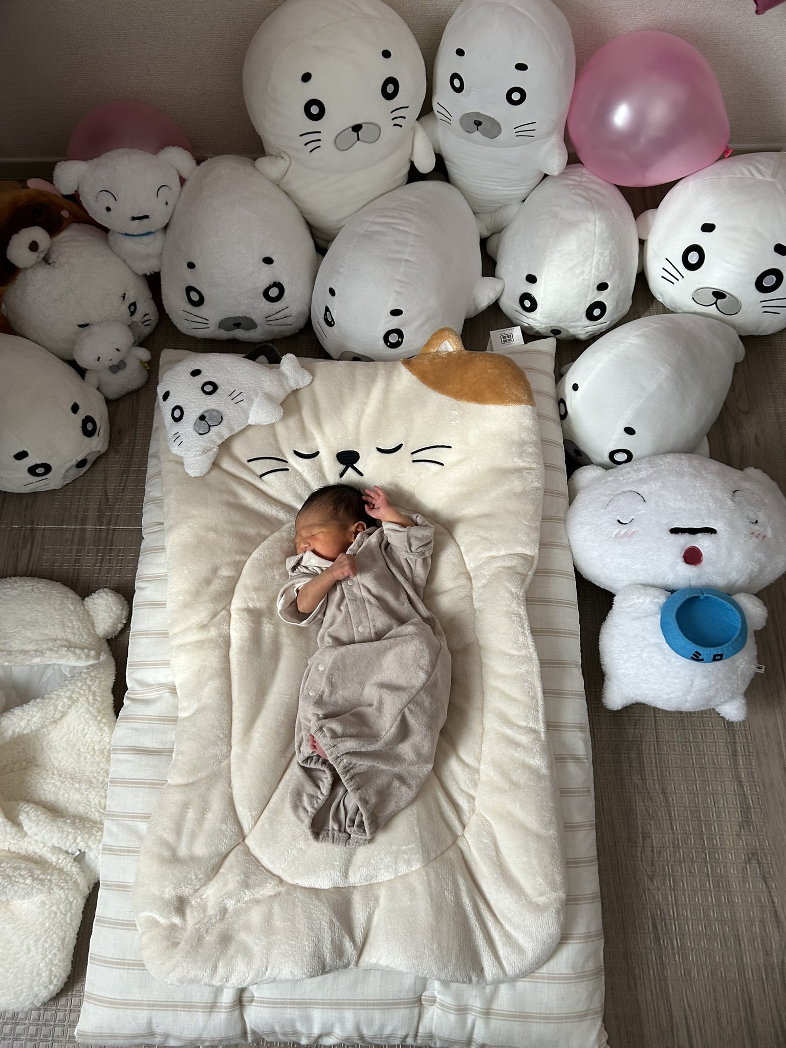 ゴマちゃん達の寒中お見舞いに駆けつけたうさぎ＆とりシーグラス