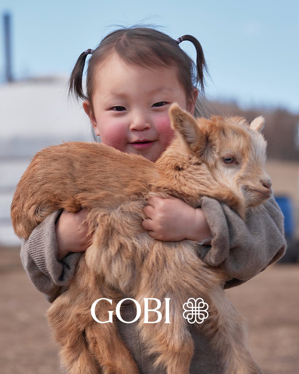 What is the importance of Cashmere in Mongolia?

Mongolia produces nearly half of the world's raw cashmere, an impressive feat for a land locked nation. The country's harsh winters encourage goats to grow exceptionally fine fibers, resulting in unrivaled softness and warmth. This