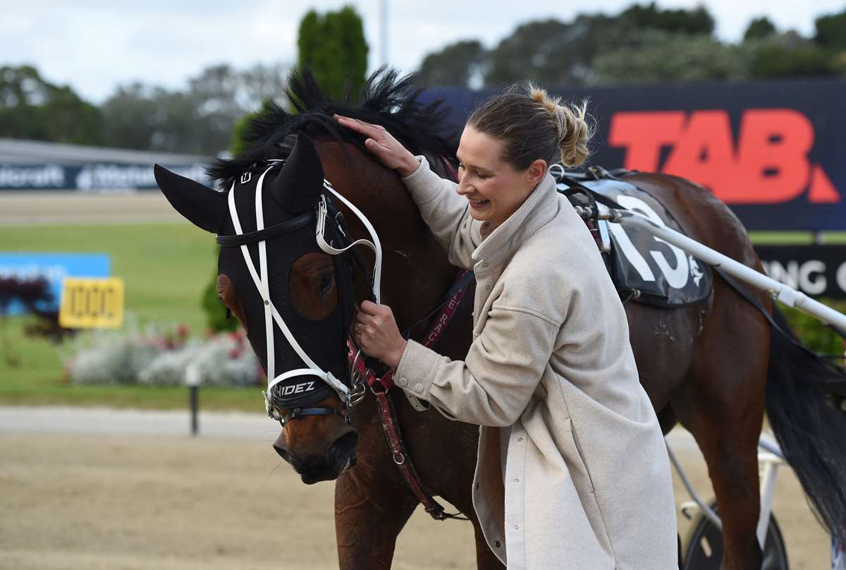 NZB Standardbred tweet media