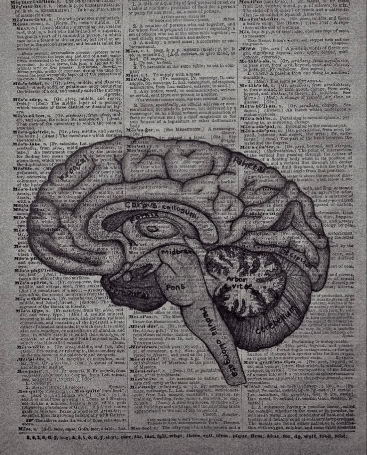 L𝗶ᥣᥣყ 𖤐 𝘃𝗲𝗰𝗻𝗮 𝙚𝙧𝙖 tweet media