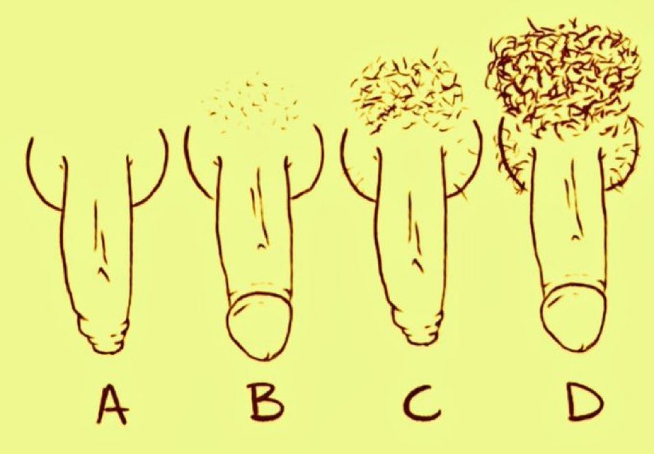 Como la traen ahorita?