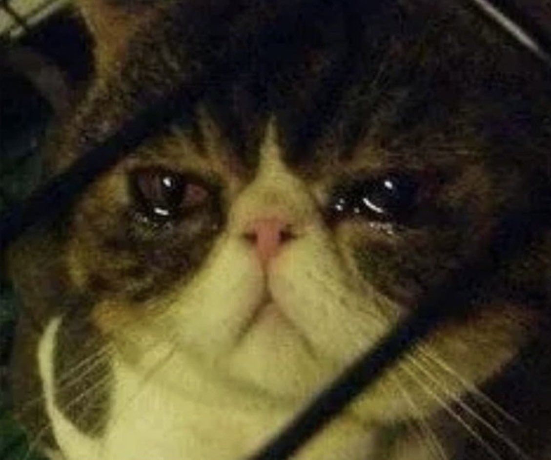 Me staring out at the trenches I once loved