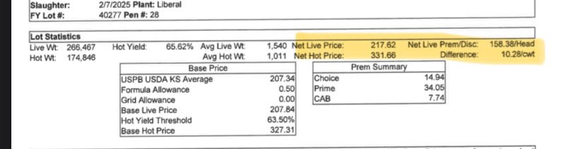 Black Swan Cattle Co. tweet media