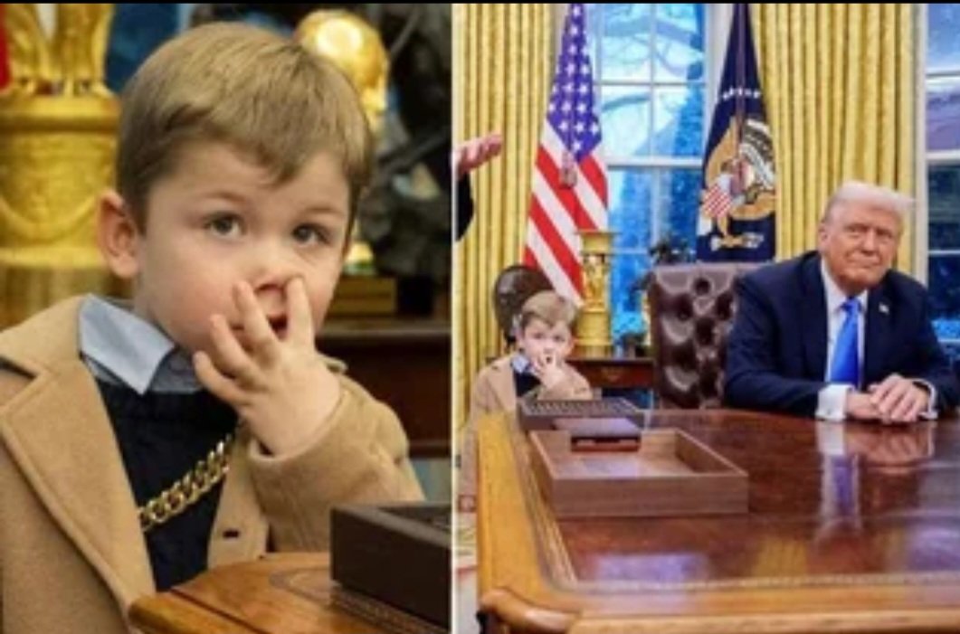 One of these two is sitting with a diaper full of crap, and the other is a toddler.