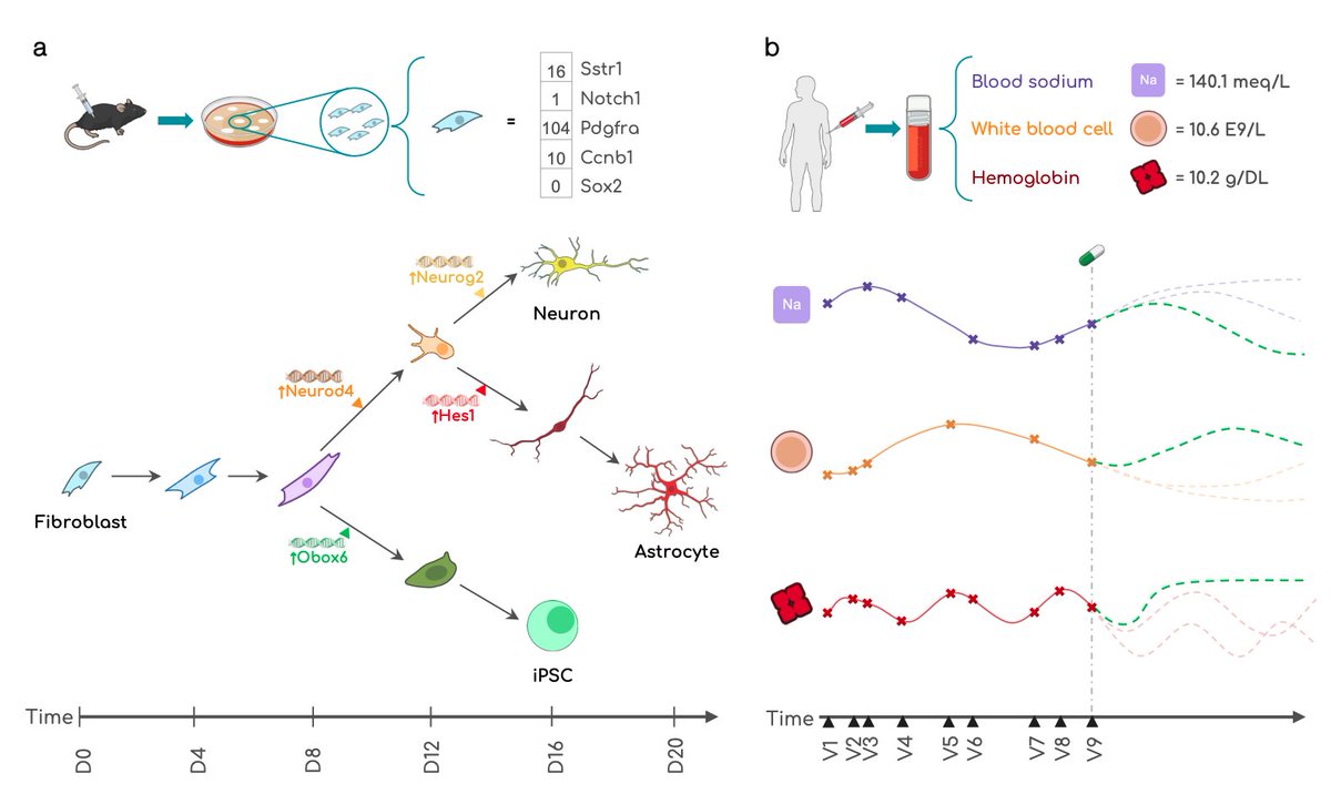 Marinka Zitnik (@marinkazitnik) on Twitter photo What if you could rewind time, tweak a decision, and watch the future unfold differently, one precise edit at a time?
That’s exactly what CLEF does for sequences in biology and medicine <a href="/_michellemli/">Michelle M. Li (李敏蕊)</a>
Controllable sequence editing: generate precise, time-sensitive What if you could rewind time, tweak a decision, and watch the future unfold differently, one precise edit at a time?
That’s exactly what CLEF does for sequences in biology and medicine <a href="/_michellemli/">Michelle M. Li (李敏蕊)</a>
Controllable sequence editing: generate precise, time-sensitive