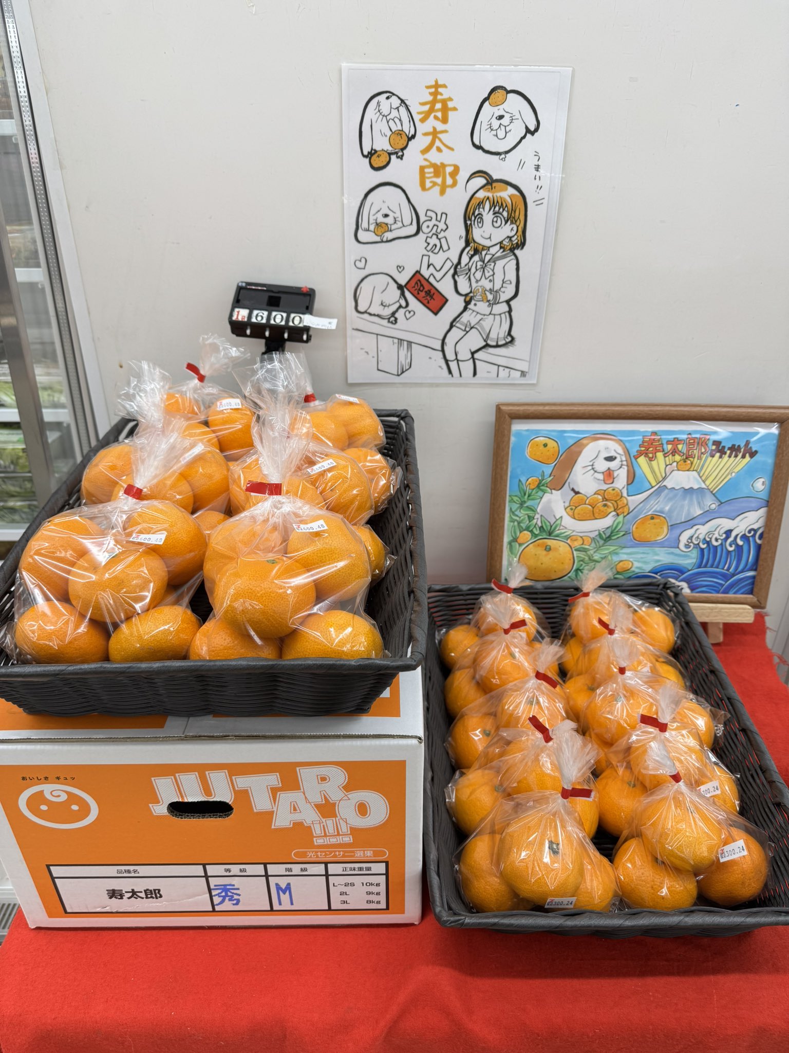 Amazon.co.jp: 【金紅に輝く最高級みかん】糖度:13度以上 金峰