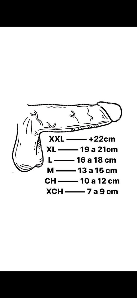 Roberto mayra qro tweet media