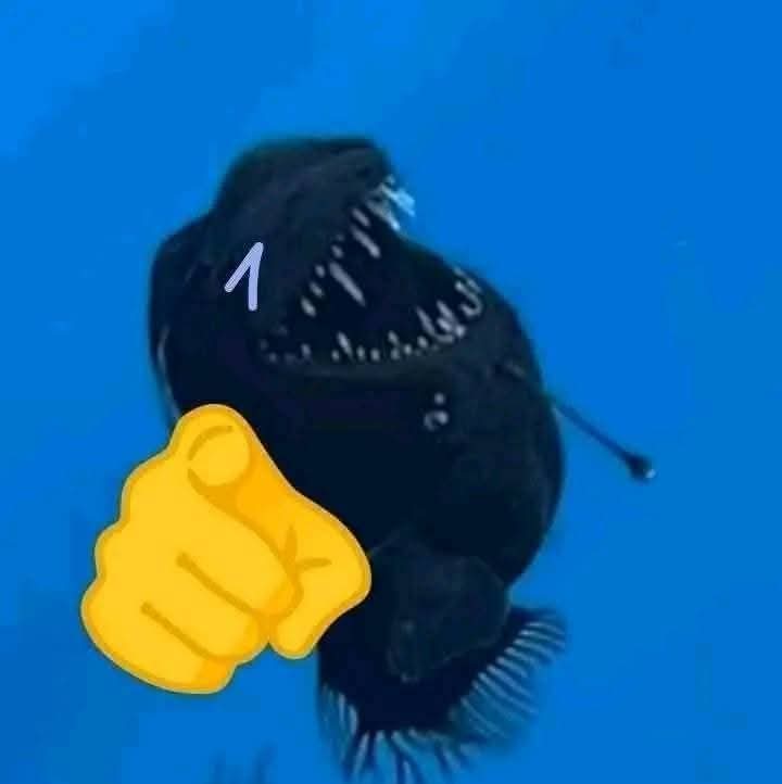 Vitória Posting tweet media