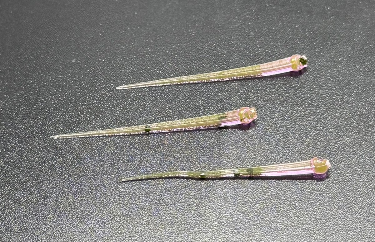 BlantonsBaits's tweet photo. ..New Bait on the Website..

1.5” Wiggler

https://t.co/wjgv03akDn  #fish #fishing #fishtok #crappie #crappiefishing #bluegill #bluegillfishing #perch #perchfishing #panfish #panfishing #customlures #softplastics #smallbusiness #softplasticbaits #softplasticlures https://t.co/snADtMBelS