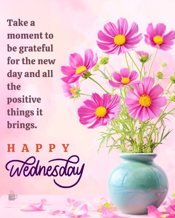 Happy Wednesday 🍒🍓🍒