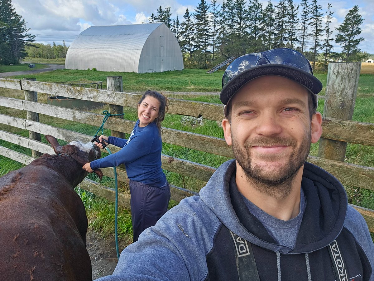 Jason Seed tweet media