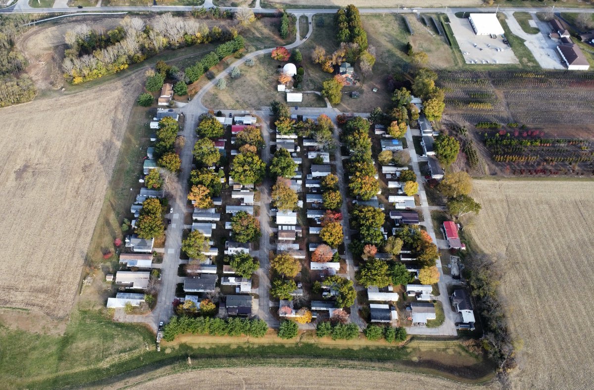 100 lots of beauty! #mhp