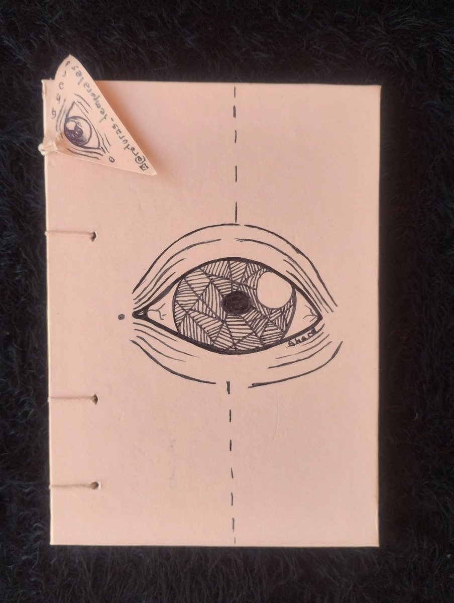 Roturas Temporales tweet media