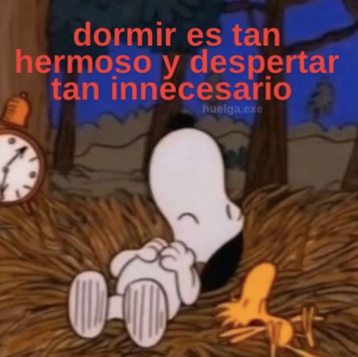 En Júpiter (@en_jupiter_) on Twitter photo 