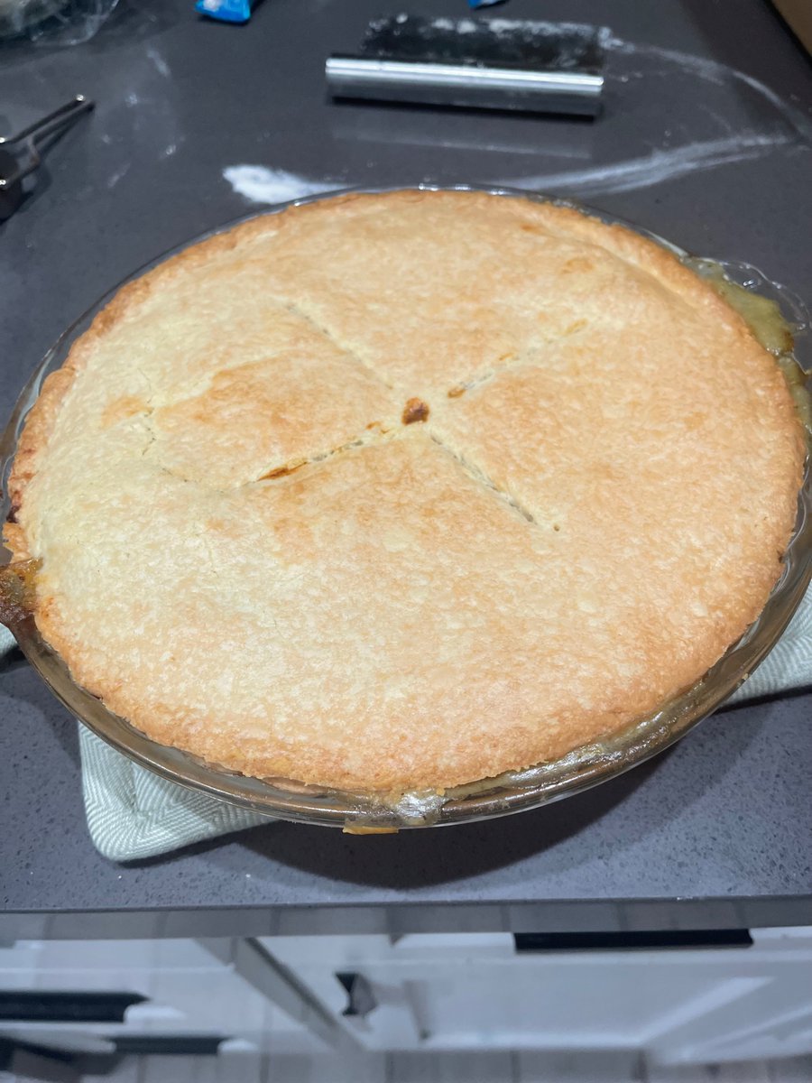 Smashlyy422's tweet image. What homemade chicken pot pie is supposed to look like flob. #FoodieBeauty #foodiebeautyanimalabuser #learnhowtocook #sourdough crust #buttery like my ass 😹