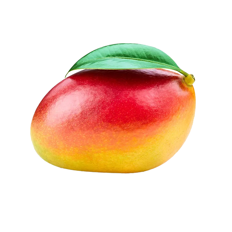 R_Fragments's tweet photo. @DanteMusicPro its ok i offer u mango,,, CHECK UR FOOD NEXT TIME!!!!!!!!!!!!!!!!!!!!!!!!!!!!!!!!! https://t.co/OMcejb6hr2